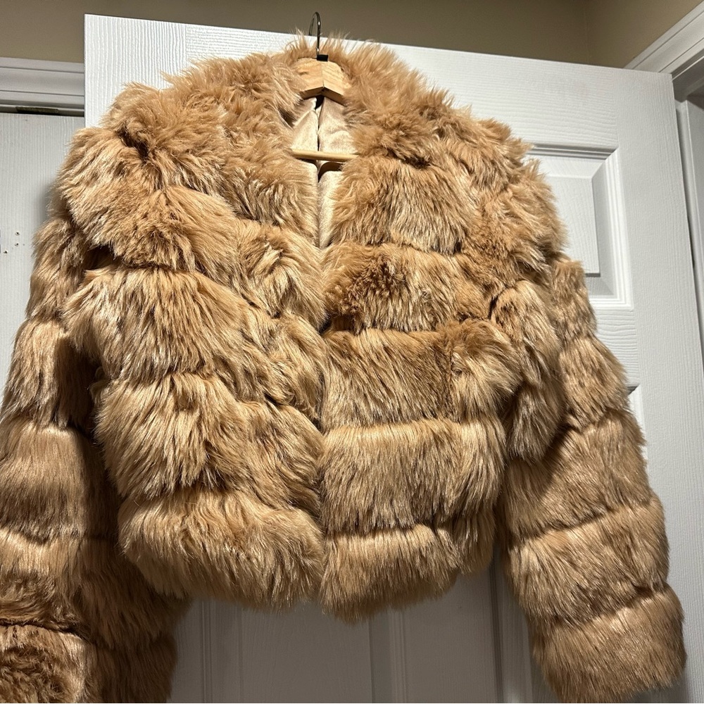 Naked wardrobe fur coat